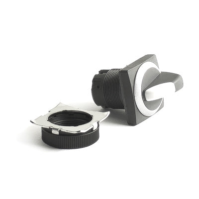 Speed regulator switch