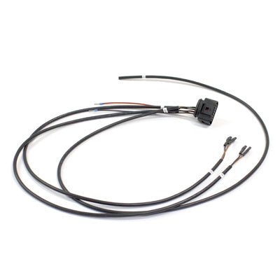 BMS main cable tree