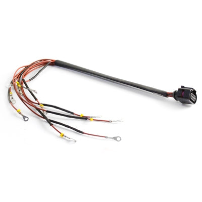 BMS left cable tree