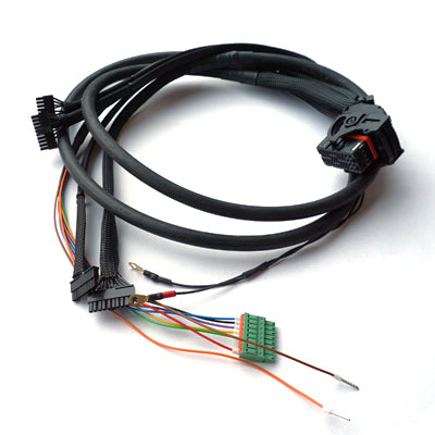 BMS RiMO V4.0 SiNUS iON wiring harness v2.0 to Battery connector